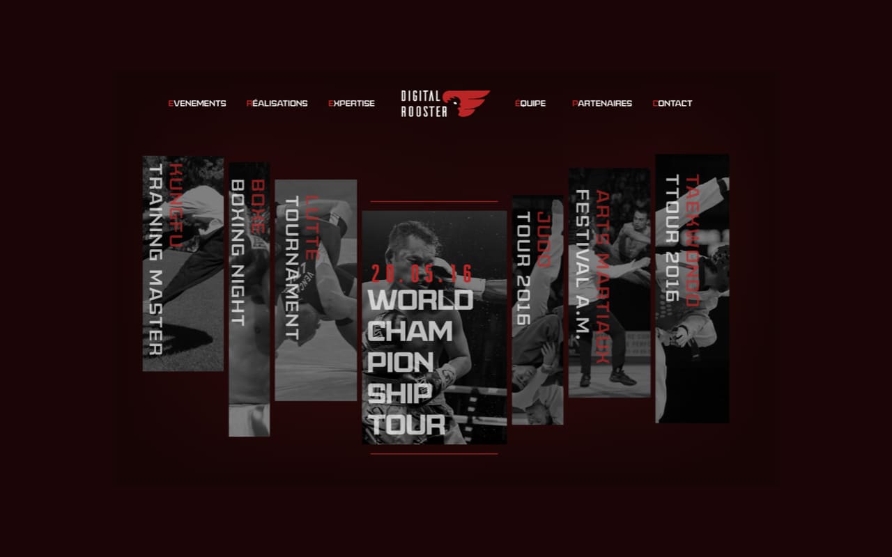 Digital Rooster project illustration